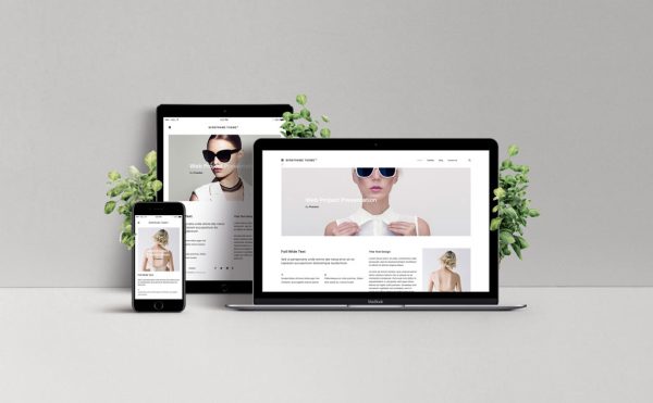 1 x Pro Web Design Service