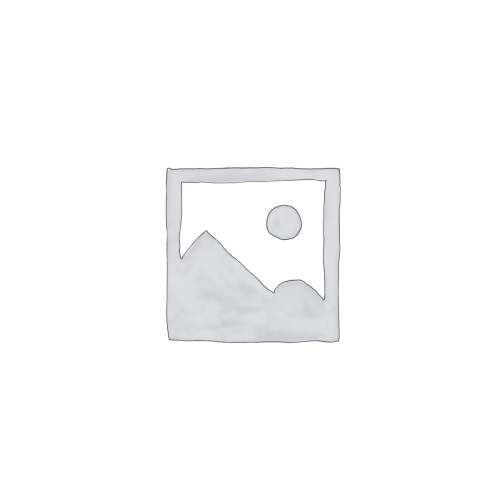 Social Media Marketing (SMM)